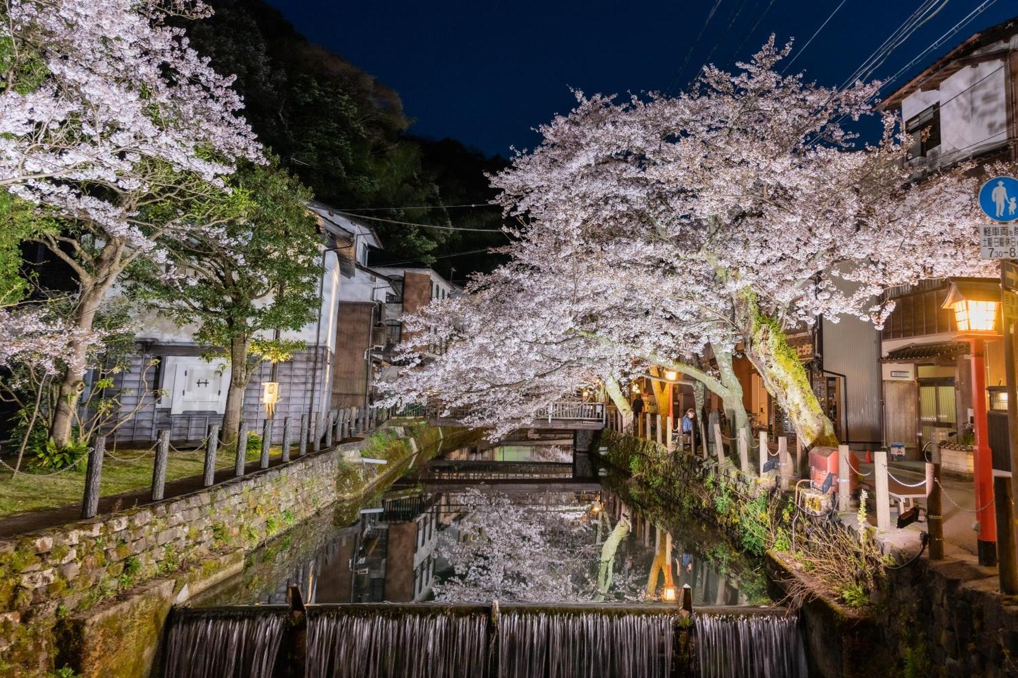 Mikuniya Hotel Toyooka  Bagian luar foto