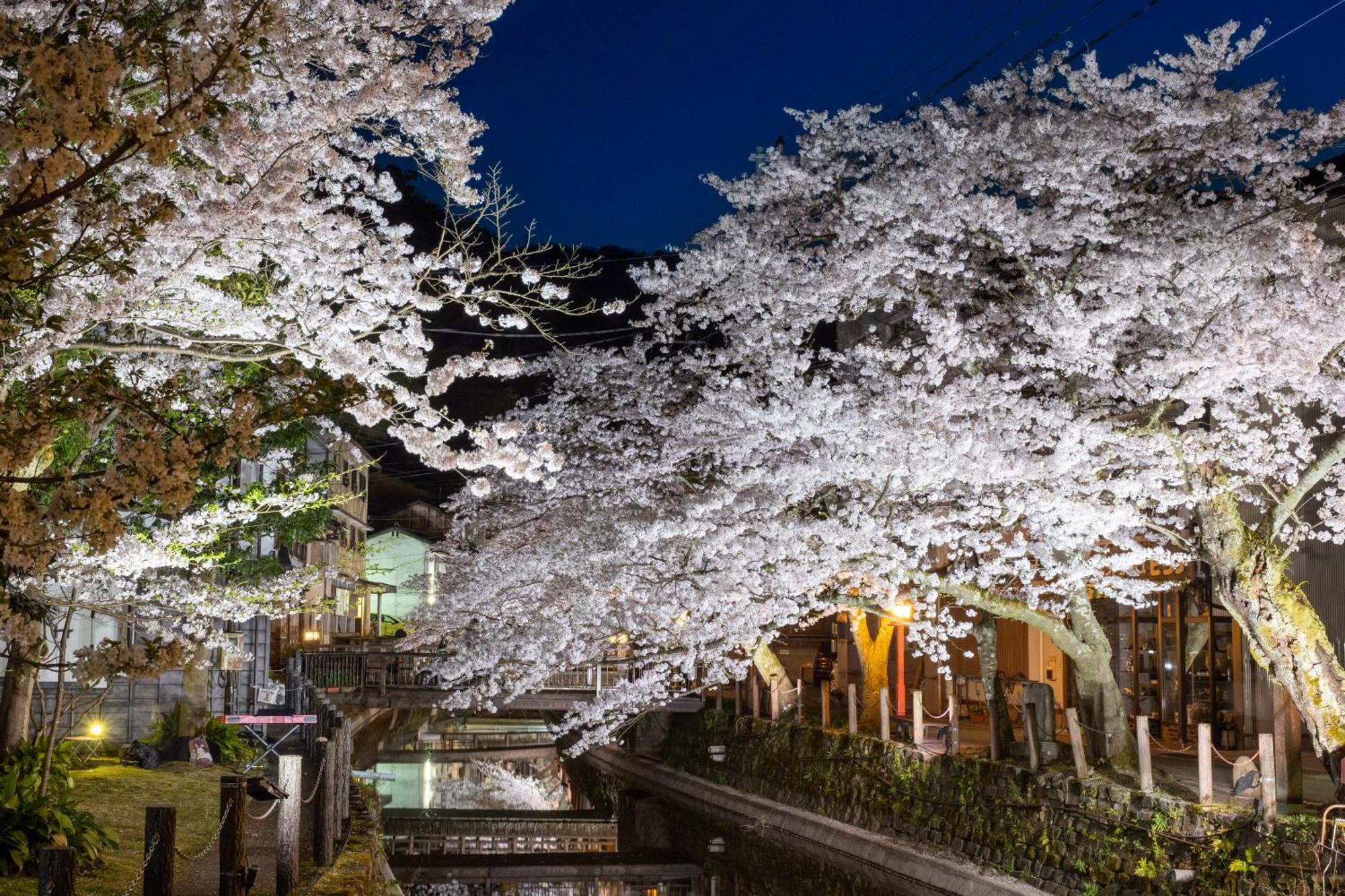 Mikuniya Hotel Toyooka  Bagian luar foto