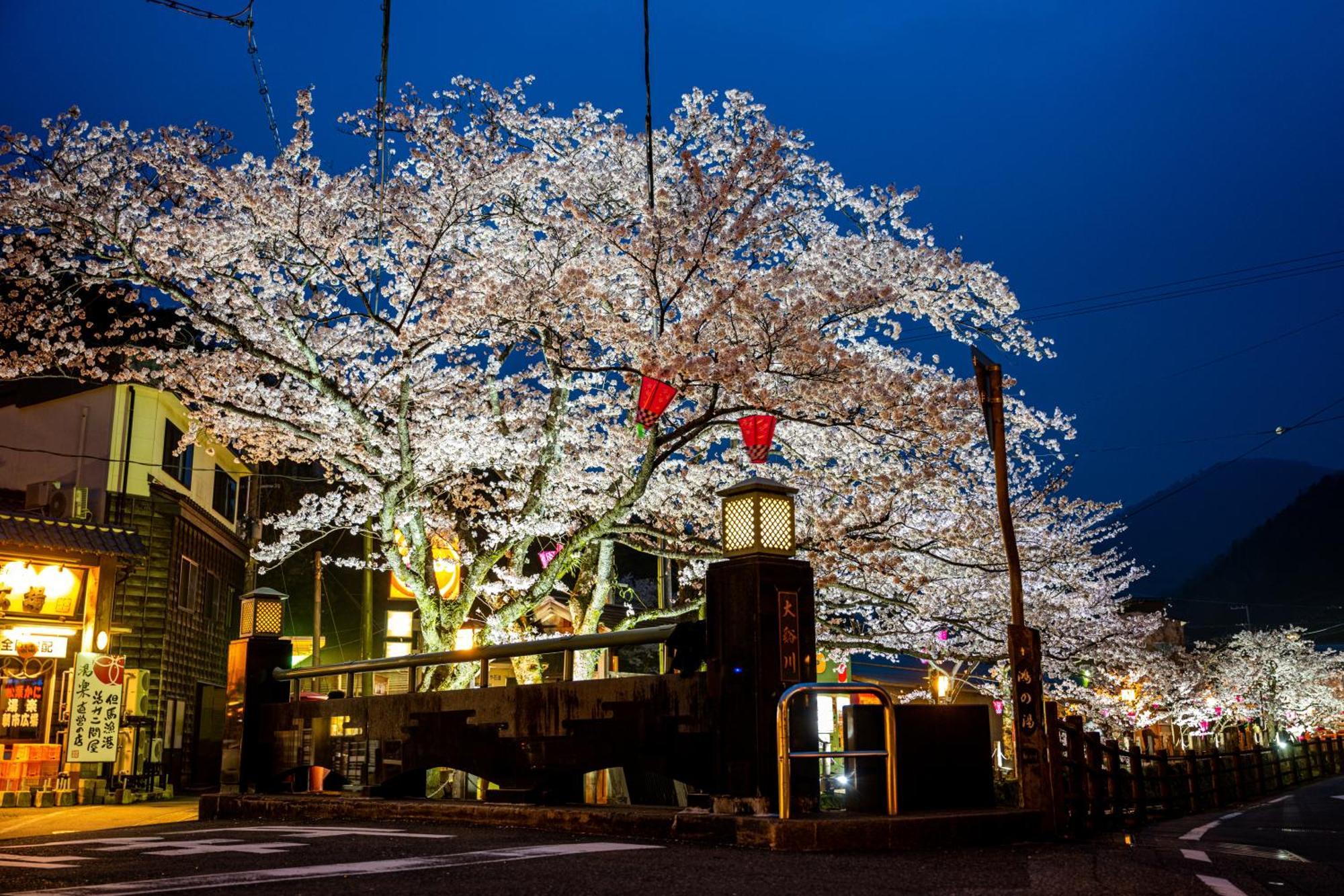 Mikuniya Hotel Toyooka  Bagian luar foto