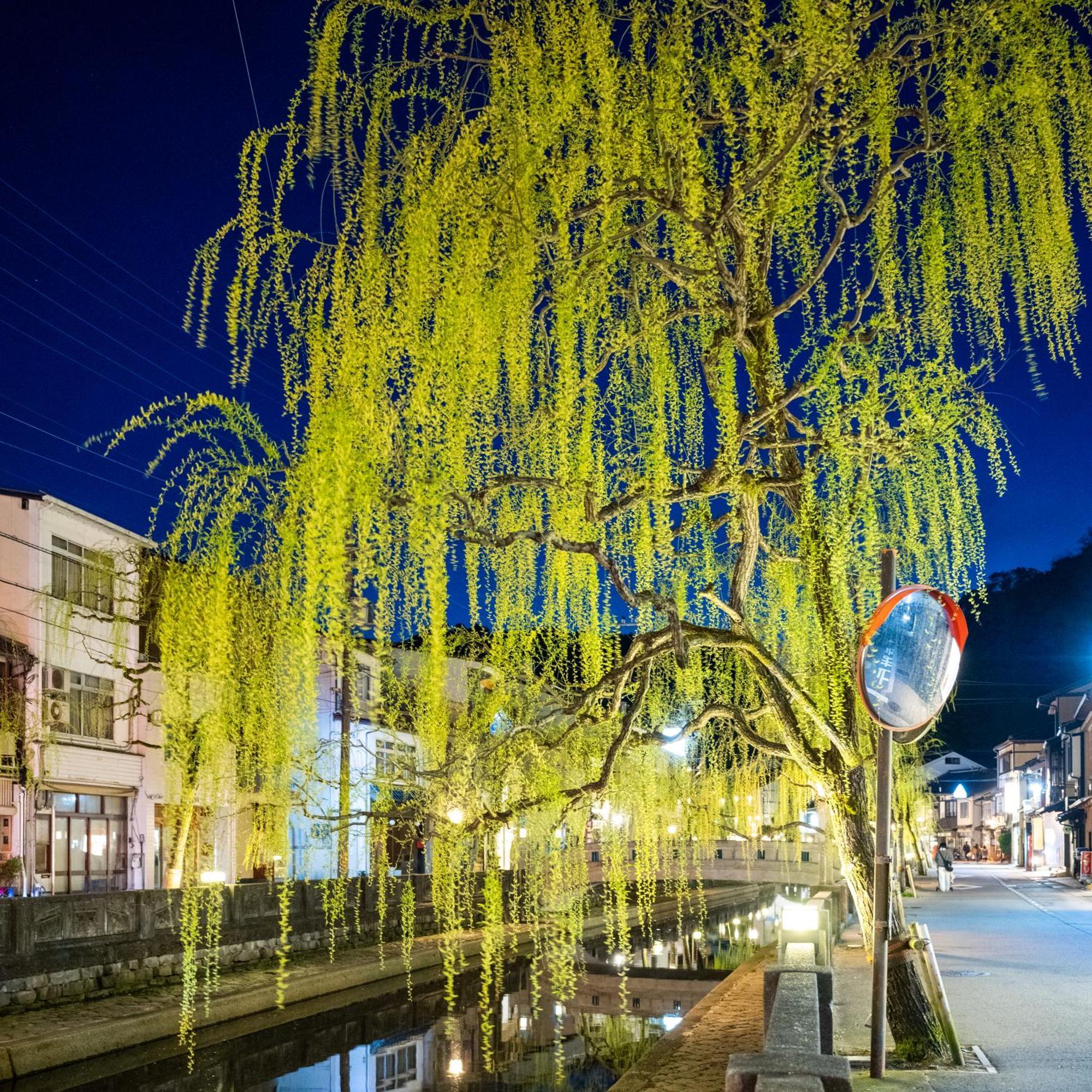 Mikuniya Hotel Toyooka  Bagian luar foto